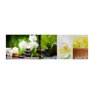Vzor Fototapety Premium Sand - Voňavý, květinový, jemný dotek - Květiny, Orchidej, Orchidej - 100x30 cm