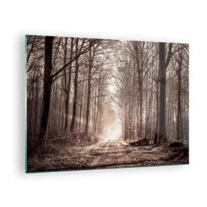 Obraz na skle - Lesní cesta v ranní mlze - 70x50cm - Lesní katedrála - Moderní nástěnná dekorace do obývacího pokoje a ložnice ARTTOR