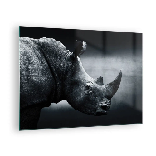 Obraz na skle - Černobílý snímek nosorožce - 70x50cm - Pravý profil - Moderní nástěnná dekorace do obývacího pokoje a ložnice ARTTOR