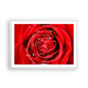 Plakát v bílém rámu - V kapkách rosy - 70x50 cm