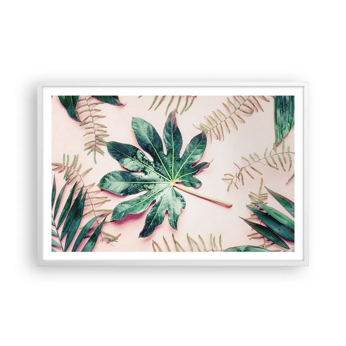 Plakát v bílém rámu - Studie zelené na růžovém pozadí - 91x61 cm