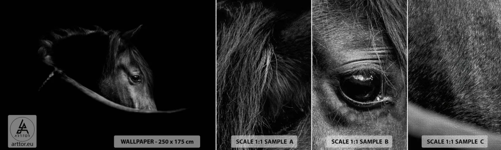 Vzor Fototapety Premium Canvas - Černý kníže - Kůň, Zvíře, Umělecký - 100x30 cm