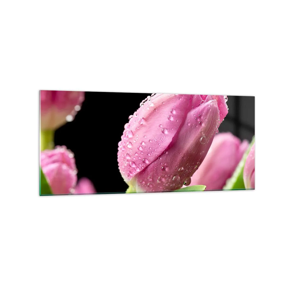 Obraz na skle - Liliový sen v rose - 120x50 cm