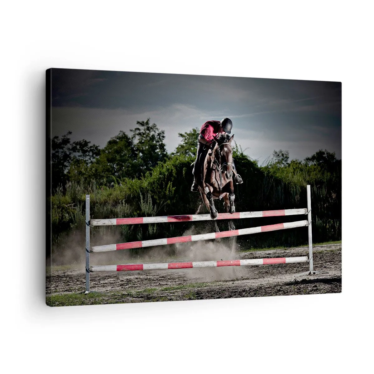 Obraz na plátně - Jezdec na koni skáče přes překážku na závodní dráze - 70x50cm - Společně pro vítězství - Moderní nástěnná dekorace do obývacího pokoje a ložnice ARTTOR