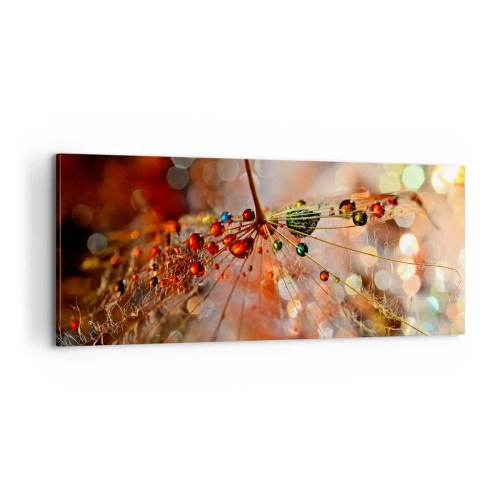 Obraz na plátně - Navlečeno na pavučinu - 100x40 cm