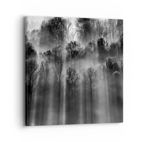 Obraz na plátně - V paprscích světla - 40x40 cm