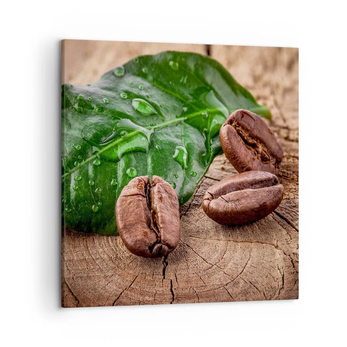 Obraz na plátně - Nejskutečnější a černá - 50x50 cm