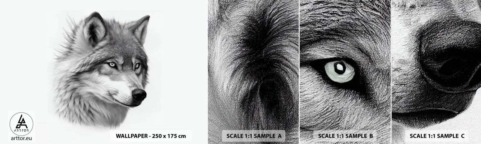 Fototapeta Vzorek Standard Eco - Alfa – bezpochybně - Vlk, Zvíře, skandinávský - 100x30 cm