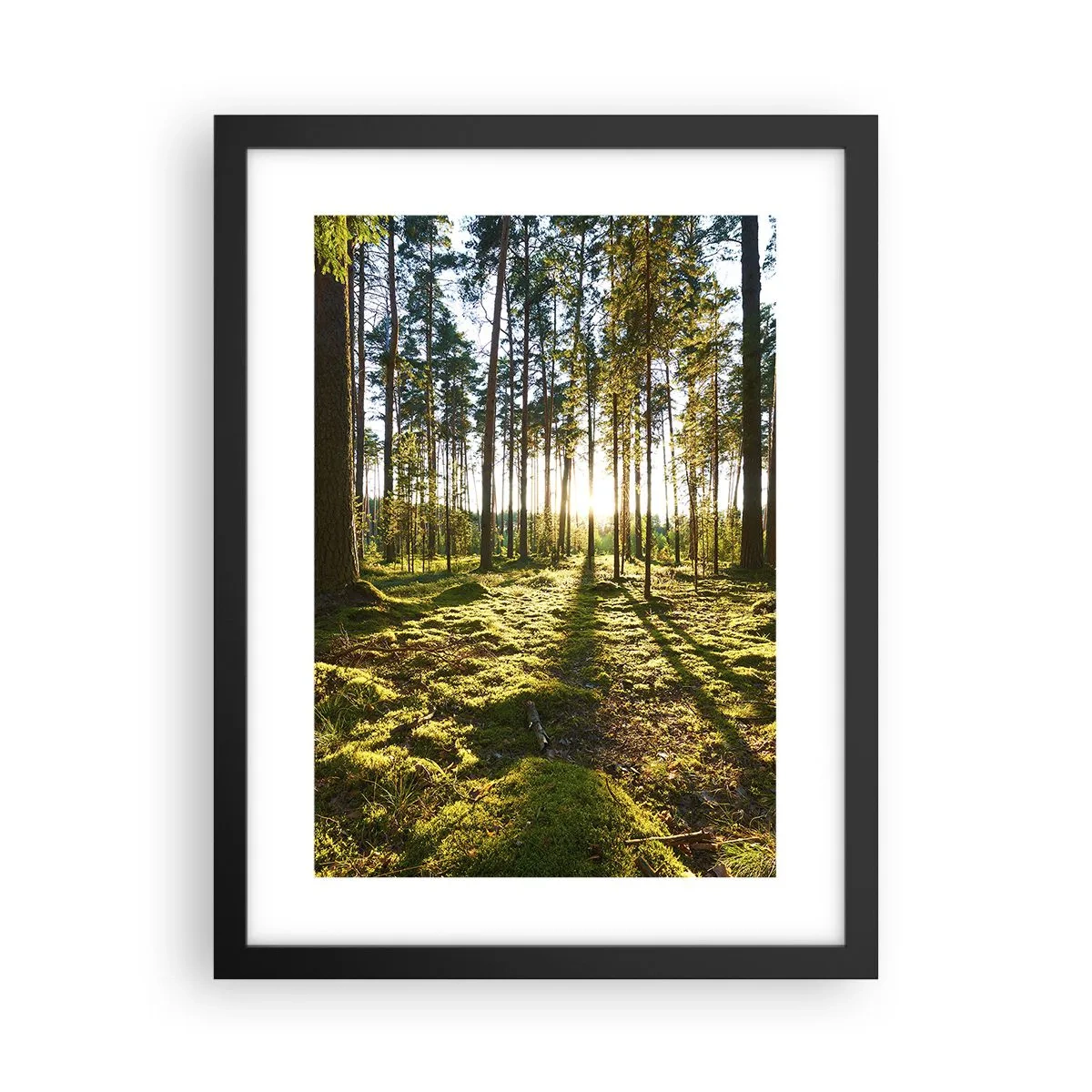 Plakát v černém rámu - …Za sedmero lesy - 30x40 cm