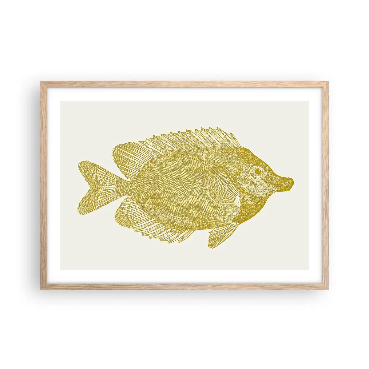 Plakát v rámu světlý dub - Prostě ryba - 70x50 cm