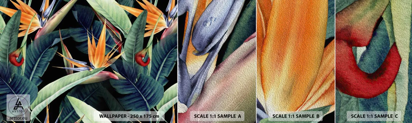 Vzor Fototapety Premium Sand - Plamenné květy tropů - Královská Strelitzia, Květ, Afrika - 100x30 cm