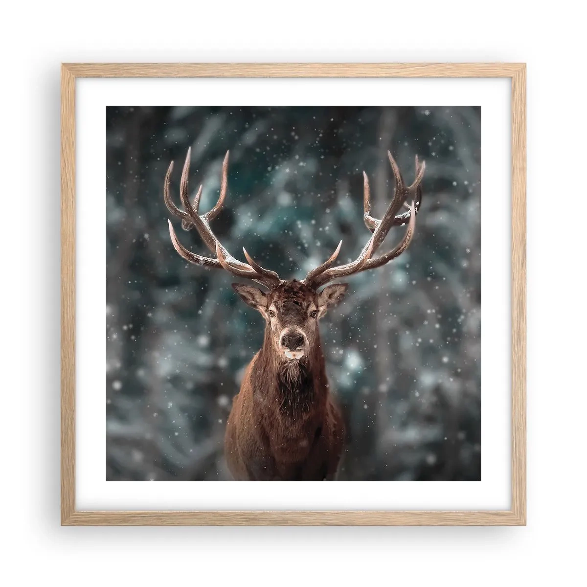 Plakát v rámu světlý dub - Skutečný král lesa - 50x50 cm