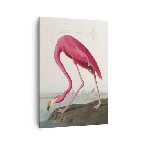 Obraz na plátně - Úžasná stvůra - 70x100 cm