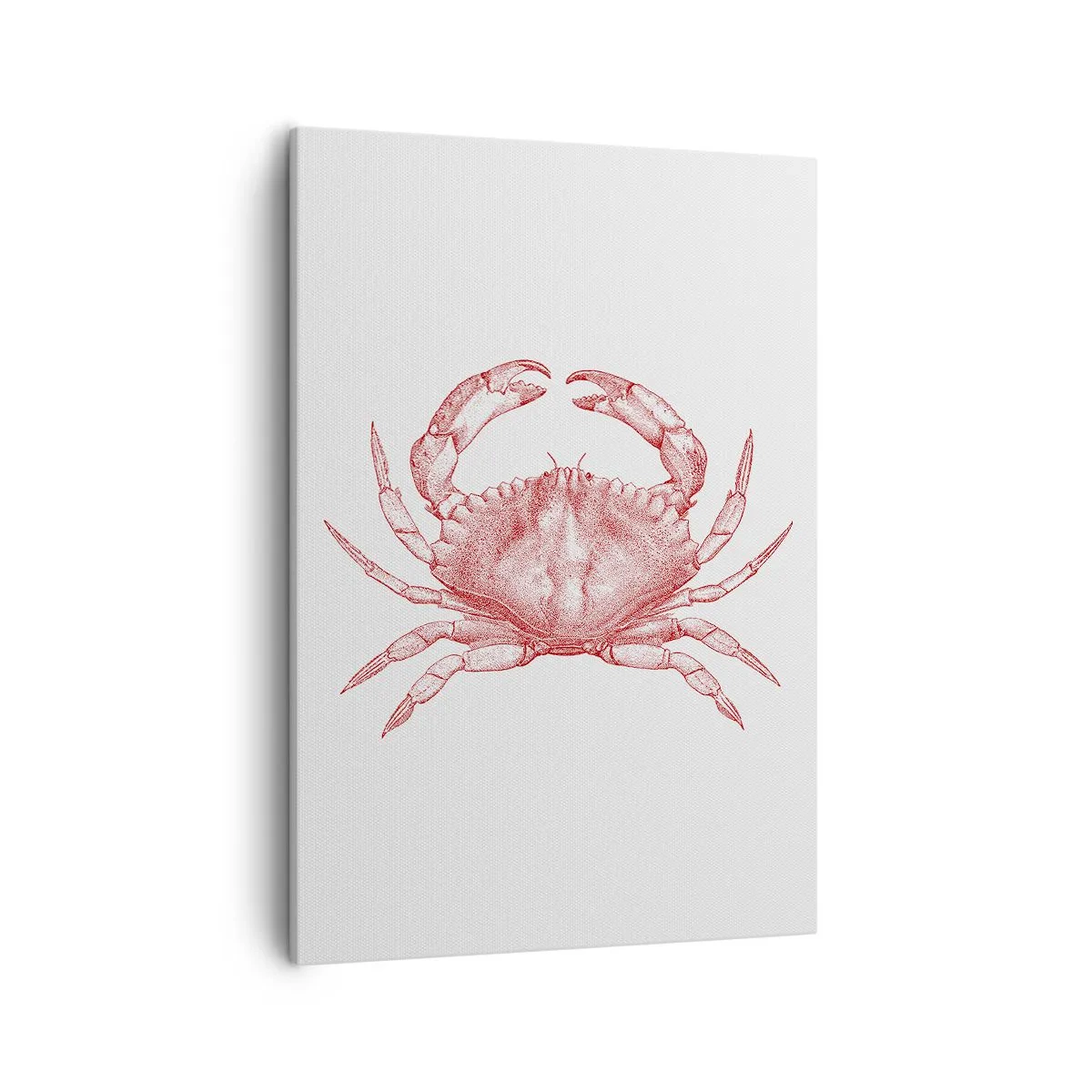 Obraz na plátně - Krab nad kraby - 50x70 cm