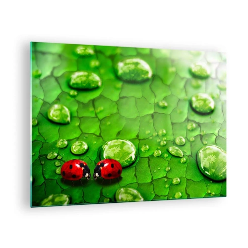 Obraz na skle - Dvě berušky na zeleném listu s kapkami vody - 70x50cm - Setkání v zeleni - Moderní nástěnná dekorace do obývacího pokoje a ložnice ARTTOR