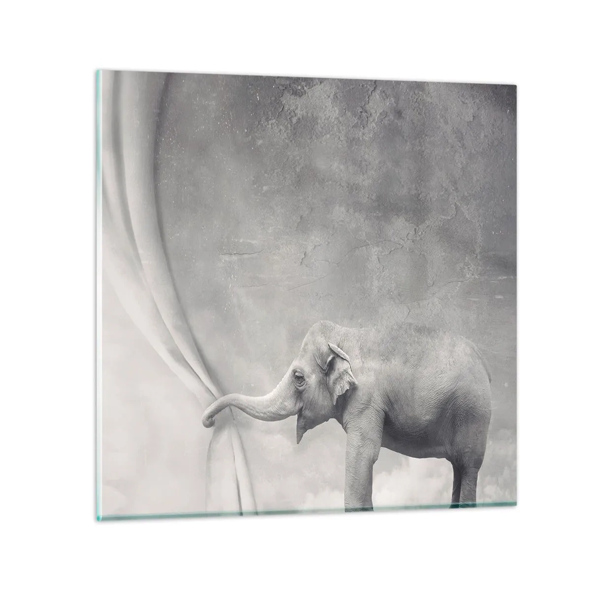 Obraz na skle - Odhalit tajemství - 40x40 cm