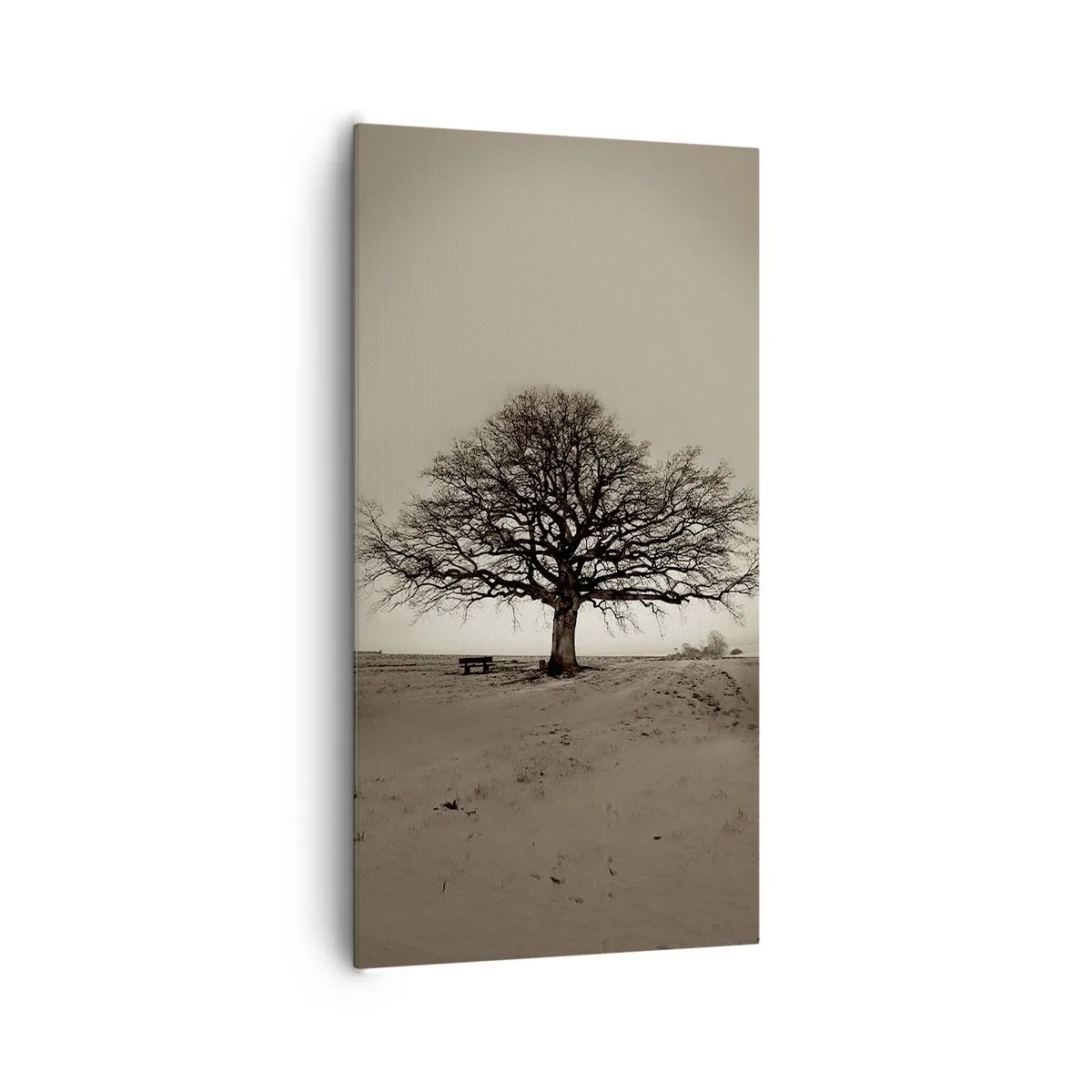 Obraz na plátně - Odtud až na věčnost - 65x120 cm