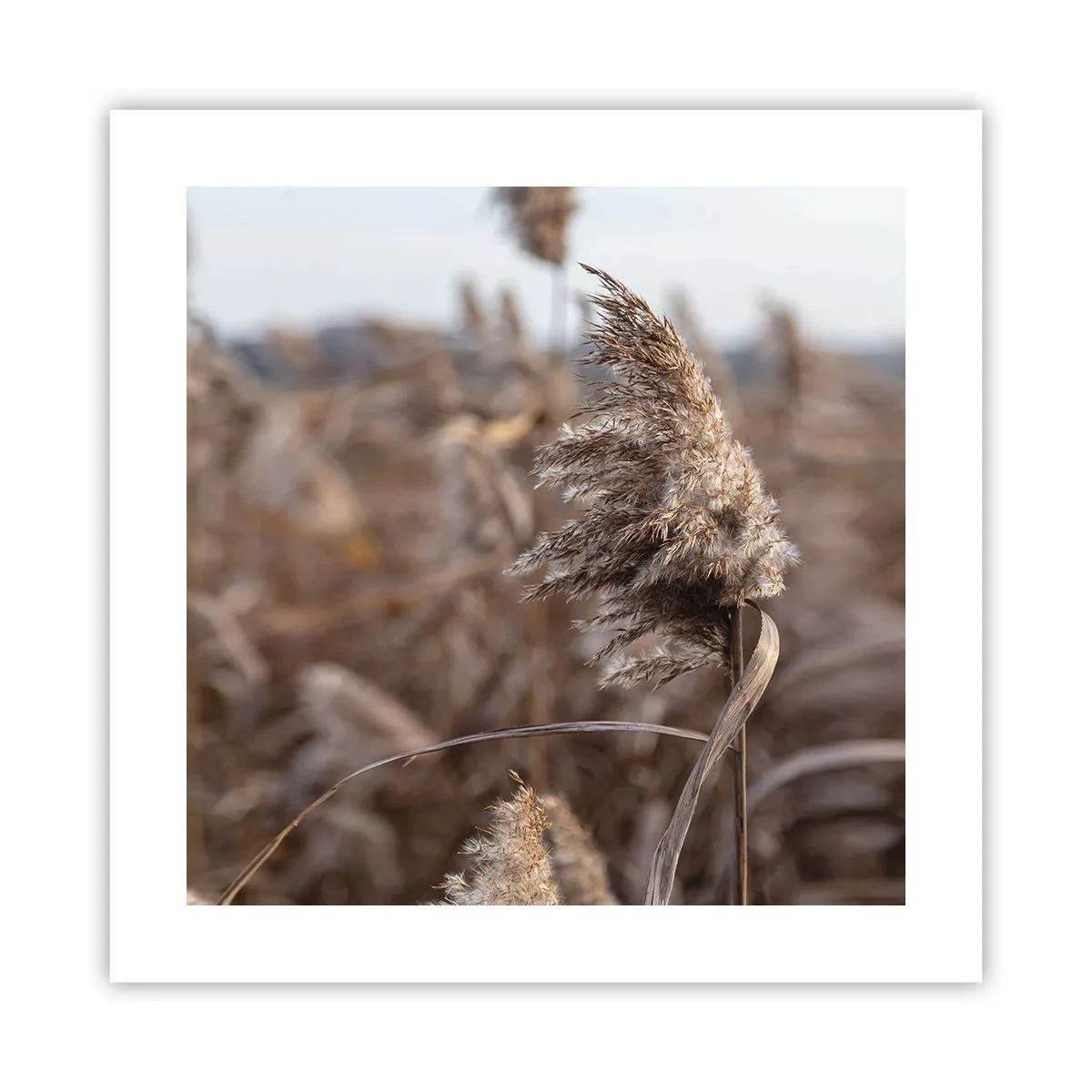 Plakát - Čas odletět s větrem - 40x40 cm