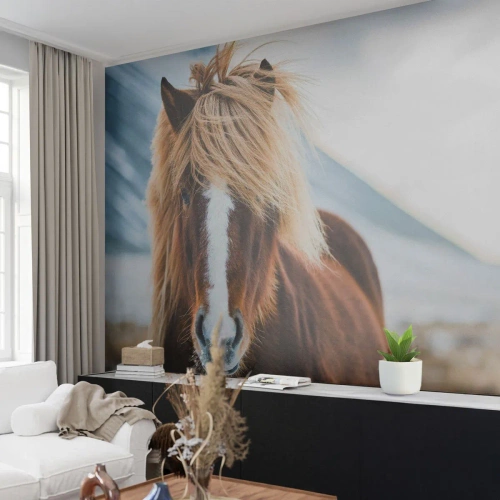 Fototapeta Premium Sand - Cítíš svobodu? - Kůň, Příroda, Zvířata - 100x70 cm