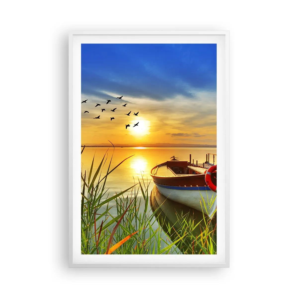 Plakát v bílém rámu - Kormoráni už odlétají - 61x91 cm