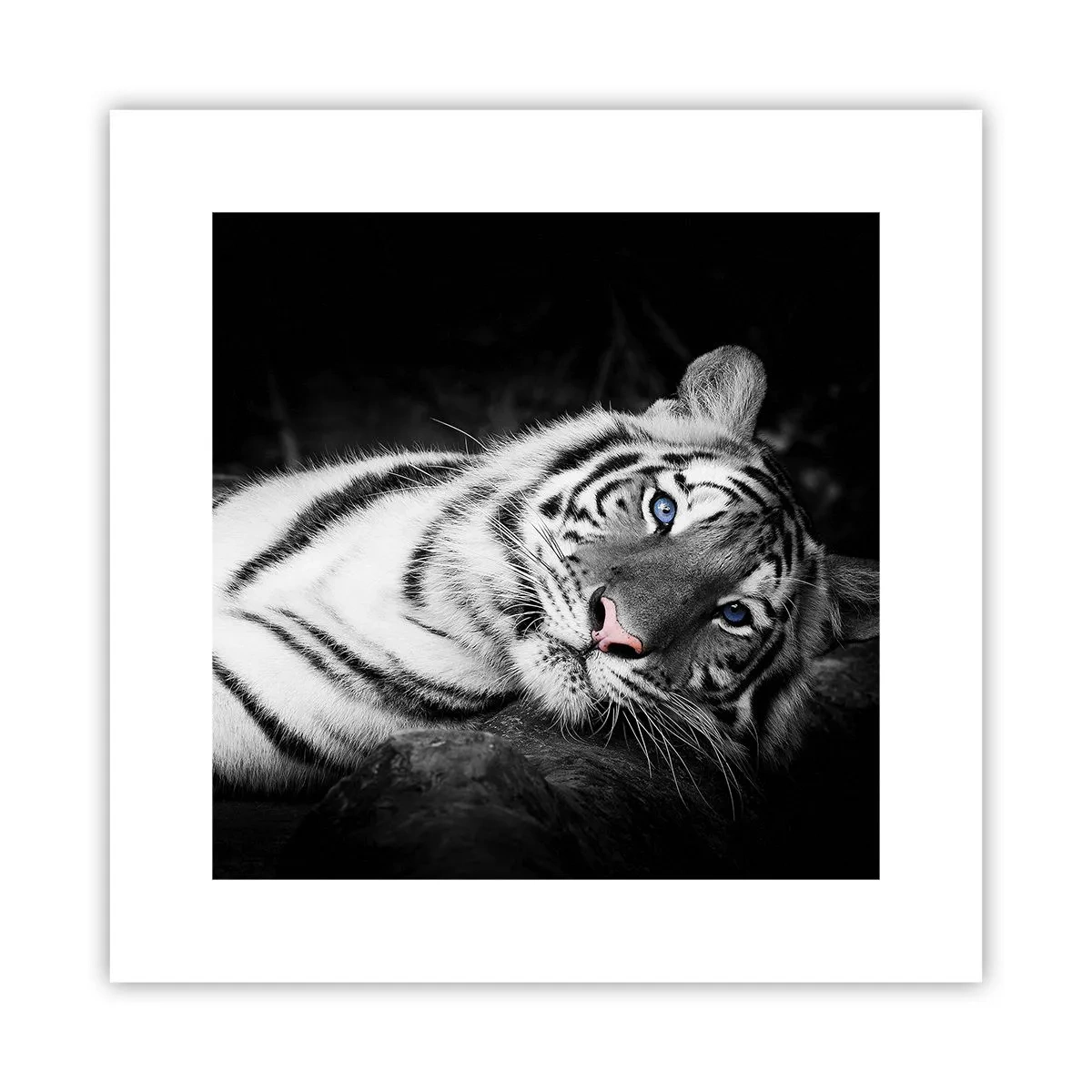 Plakát - Divočina a klid - 30x30 cm