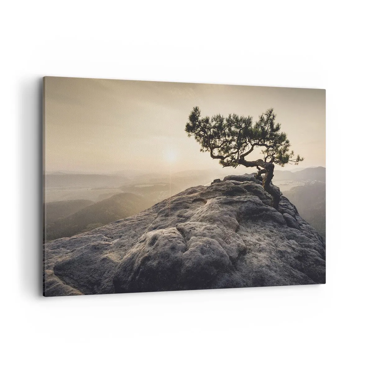 Obraz na plátně - Život vždy vítězí - 100x70 cm