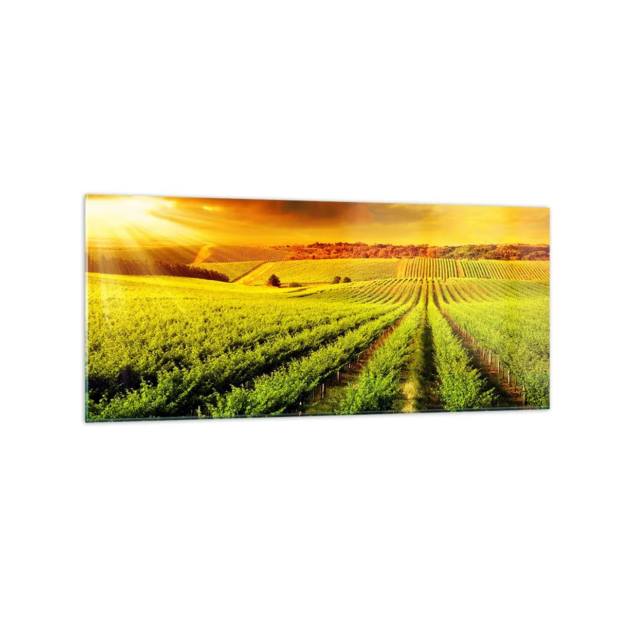 Obraz na skle - Pod australským sluncem - 120x50 cm