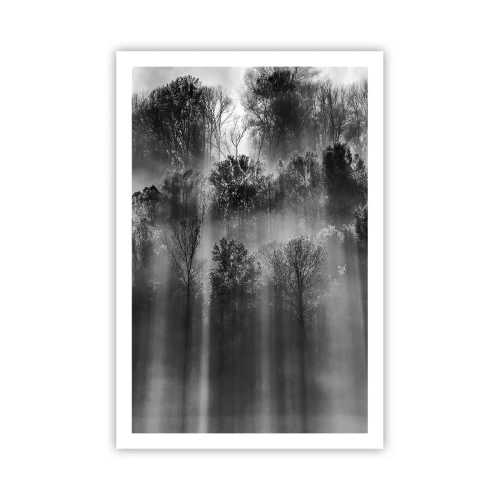 Plakát - V paprscích světla - 61x91 cm