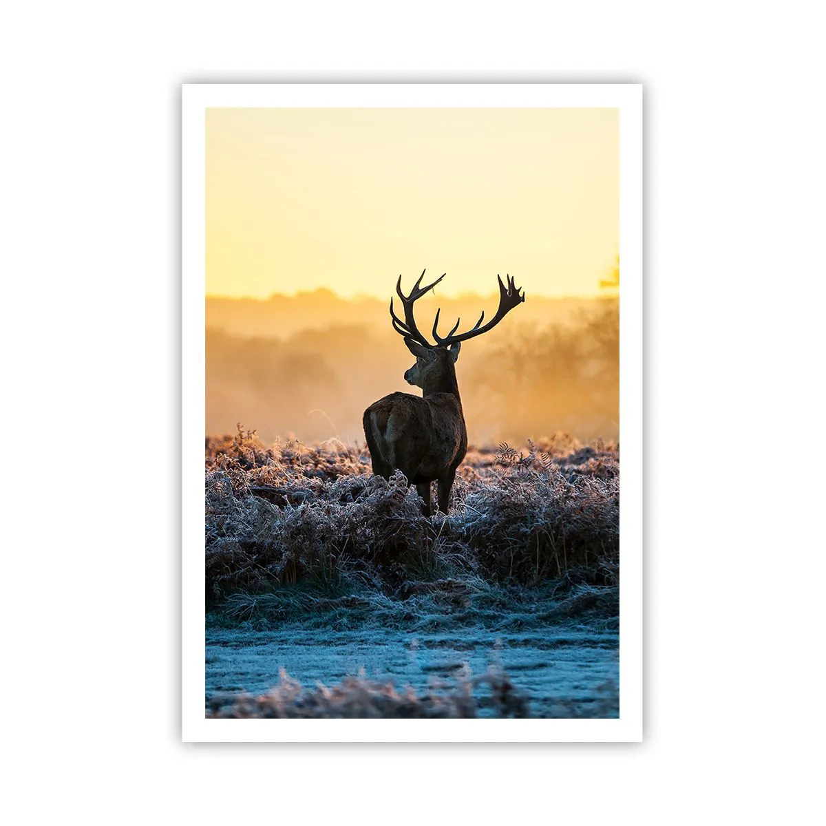 Plakát - Korunován na svém panství - 70x100 cm