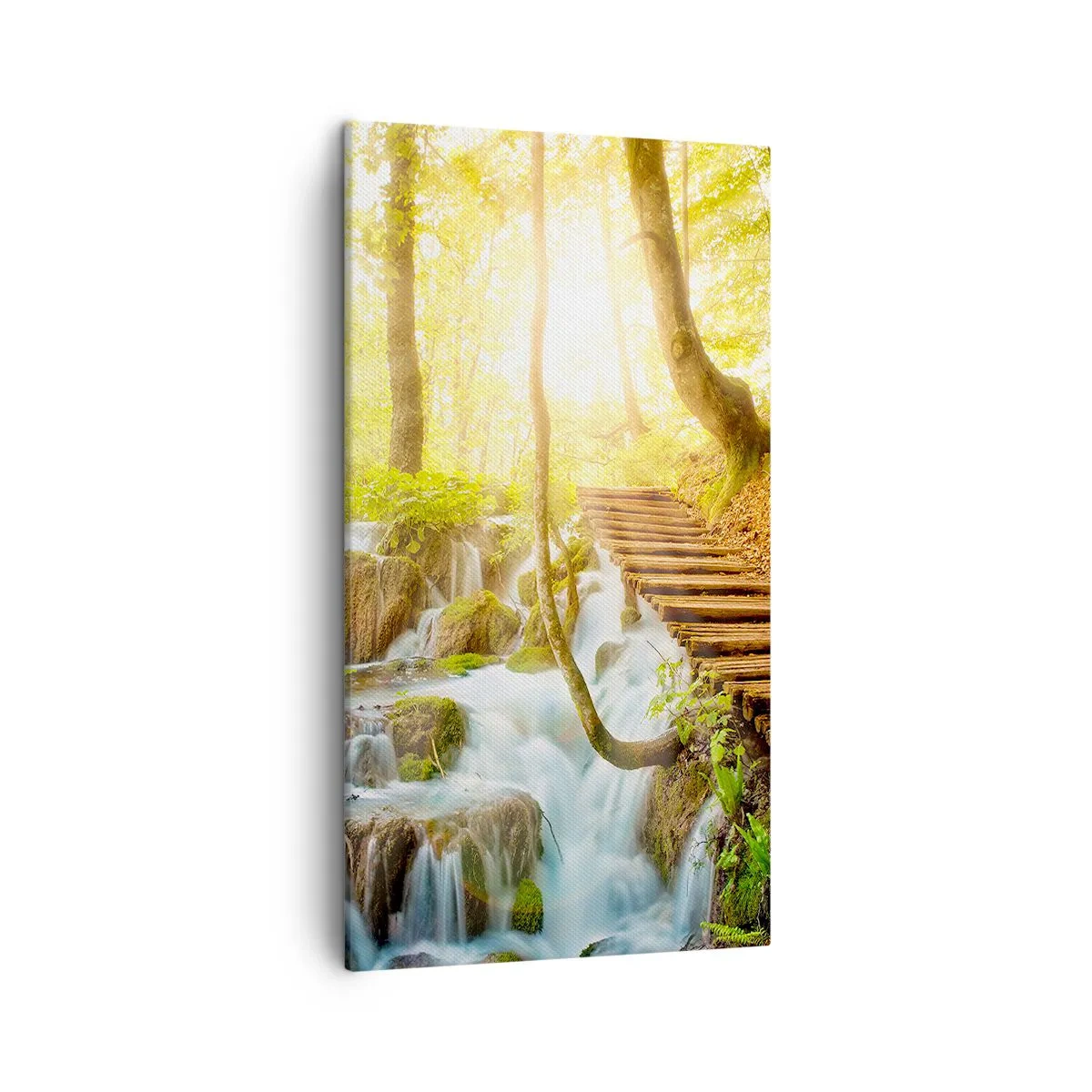 Obraz na plátně - Vytoužený chlad - 45x80 cm