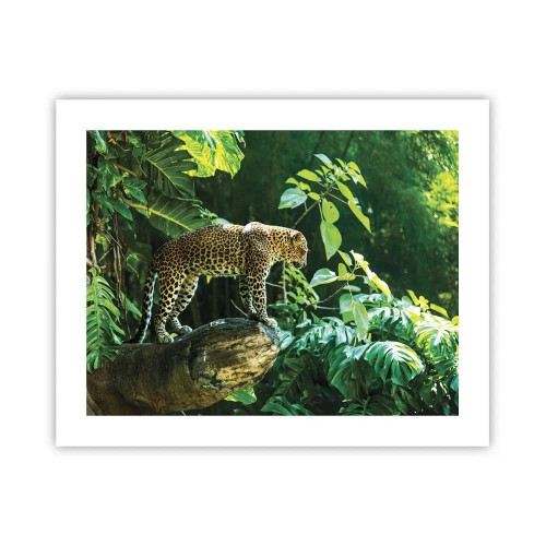 Plakát - Na lov? - 50x40 cm