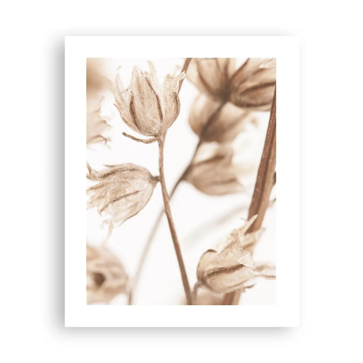 Plakát - Ozvěny konce léta - 40x50 cm