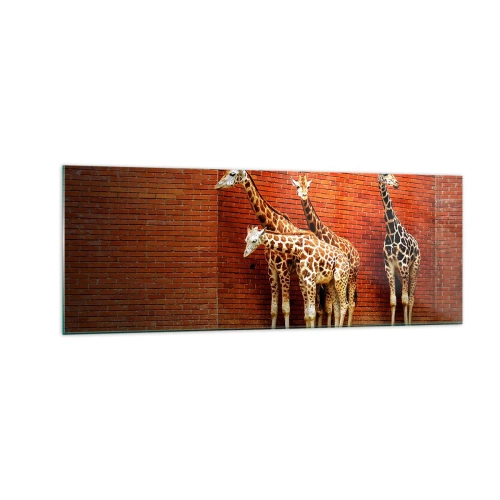 Obraz na skle - Vidíte nějaký akát? - 140x50 cm