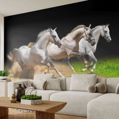 Fototapeta Premium Sand - Tři Grácie - Koně, Zvířata, Cval - 100x70 cm