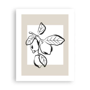 Plakát - Kde citron dozrává… - 40x50 cm