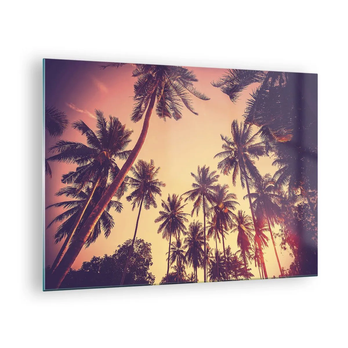 Obraz na skle - Palmy v paprscích zapadajícího slunce - 70x50cm - Tropická variace - Moderní nástěnná dekorace do obývacího pokoje a ložnice ARTTOR