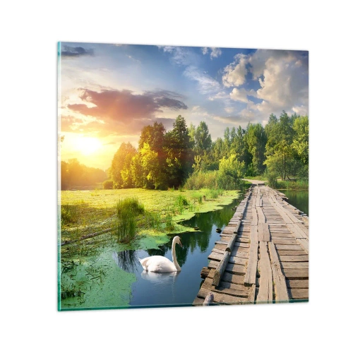 Obraz na skle - Léto, léto všude - 40x40 cm