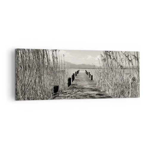 Obraz na plátně - V ústraní travin - 140x50 cm