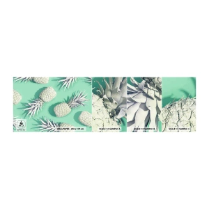 Fototapeta Vzorek Standard Eco - skvěle ladí s mátou - Abstrakce, Ananas, Kus - 100x30 cm