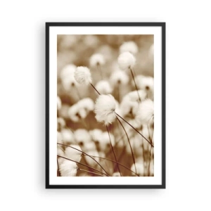 Plakát v černém rámu - Nadýchané stébla trávy v jemném záběru - 50x70cm - Chlupatý lán - Moderní nástěnná dekorace do obývacího pokoje a ložnice ARTTOR