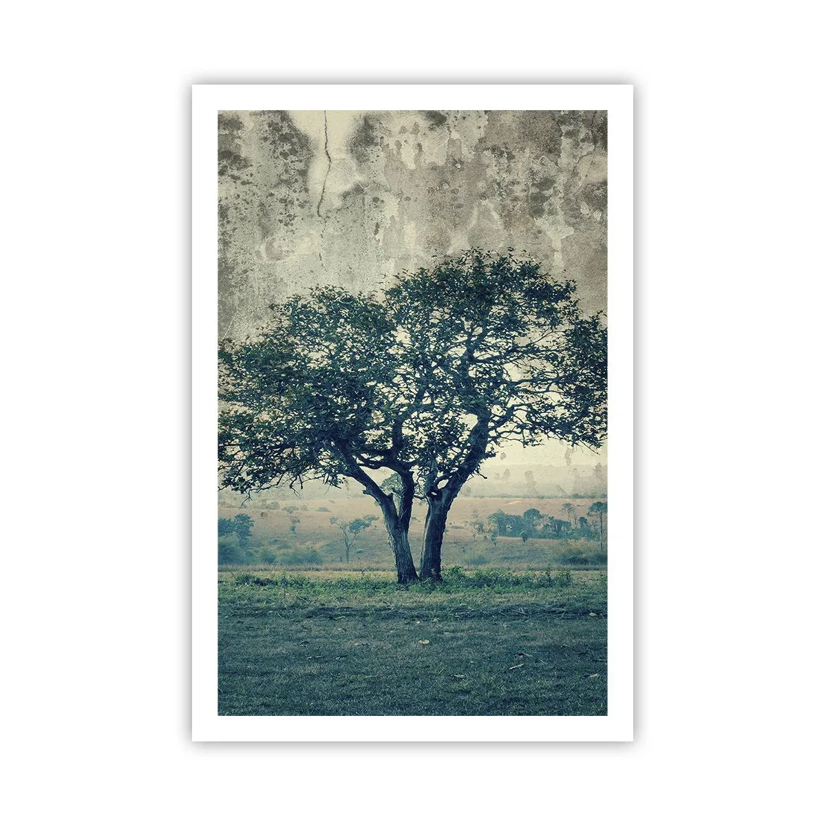 Plakát - Jabloň na modrém poli? - 61x91 cm