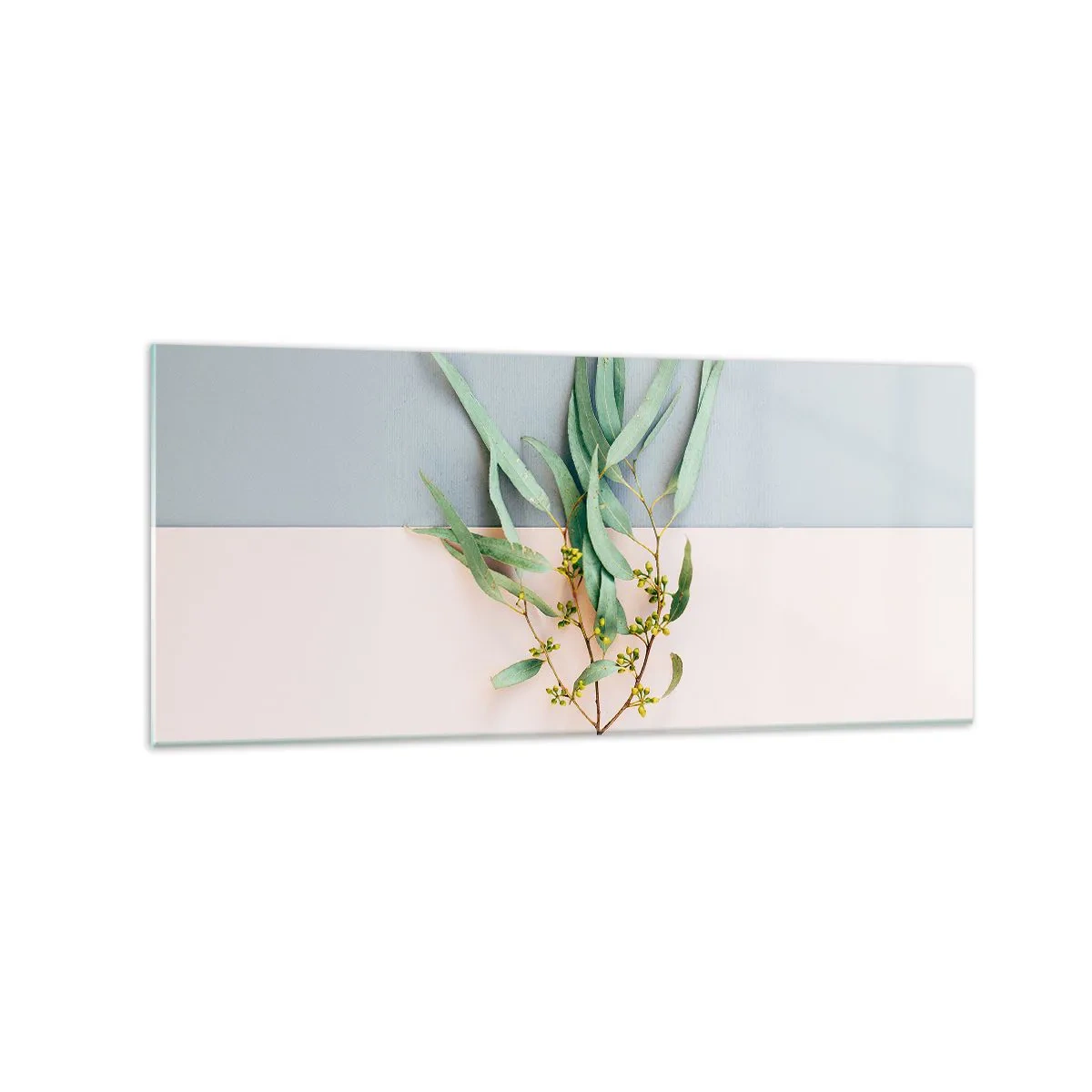 Obraz na skle - Pastelová jemnost - 120x50 cm