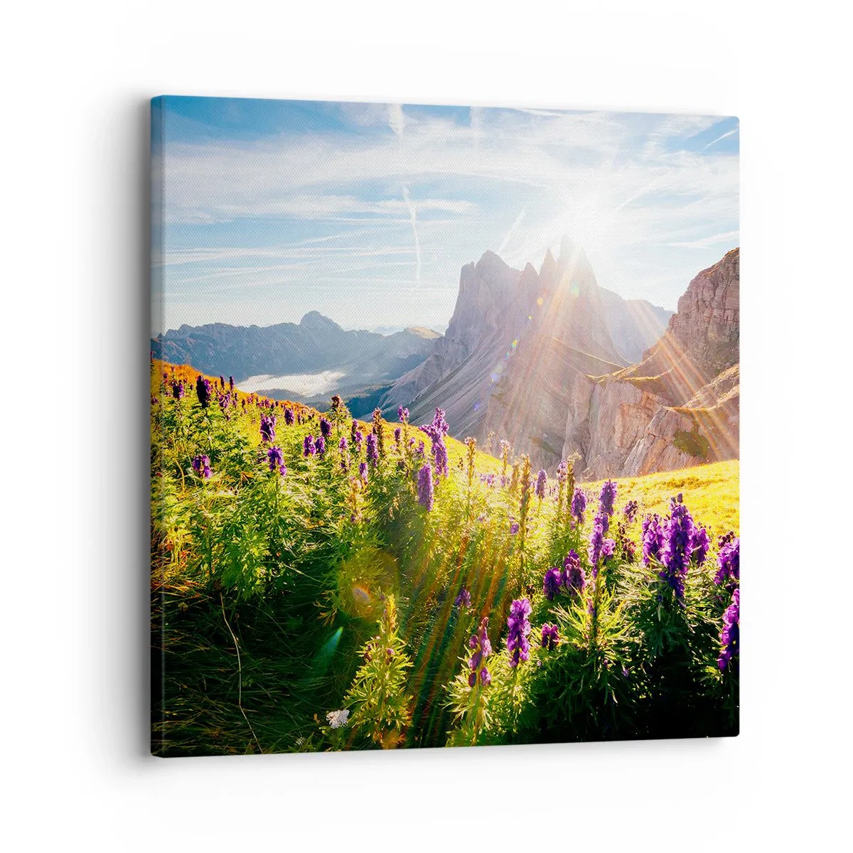 Obraz na plátně - Tajemný život bylin - 30x30 cm