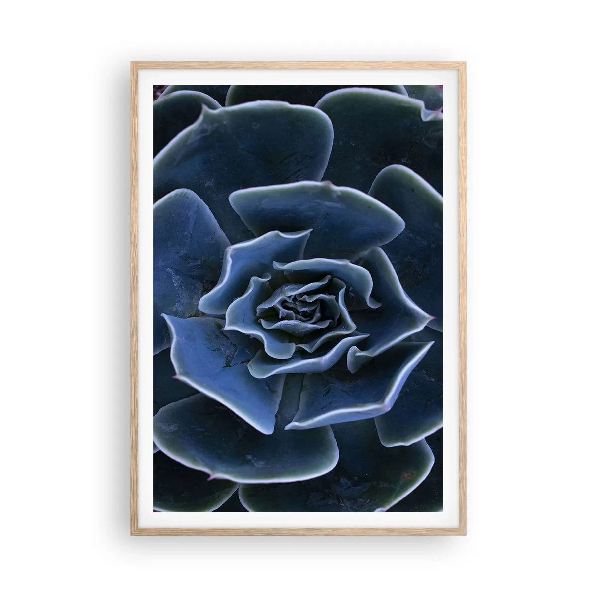 Plakát v rámu světlý dub - Pouštní květ - 70x100 cm