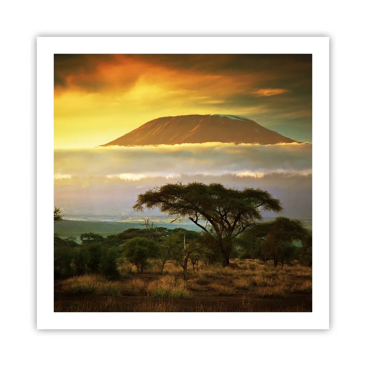 Plakát - Sen cestovatele - 60x60 cm