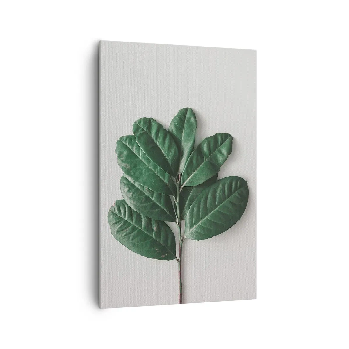 Obraz na plátně - Kresba samotné přírody - 80x120 cm