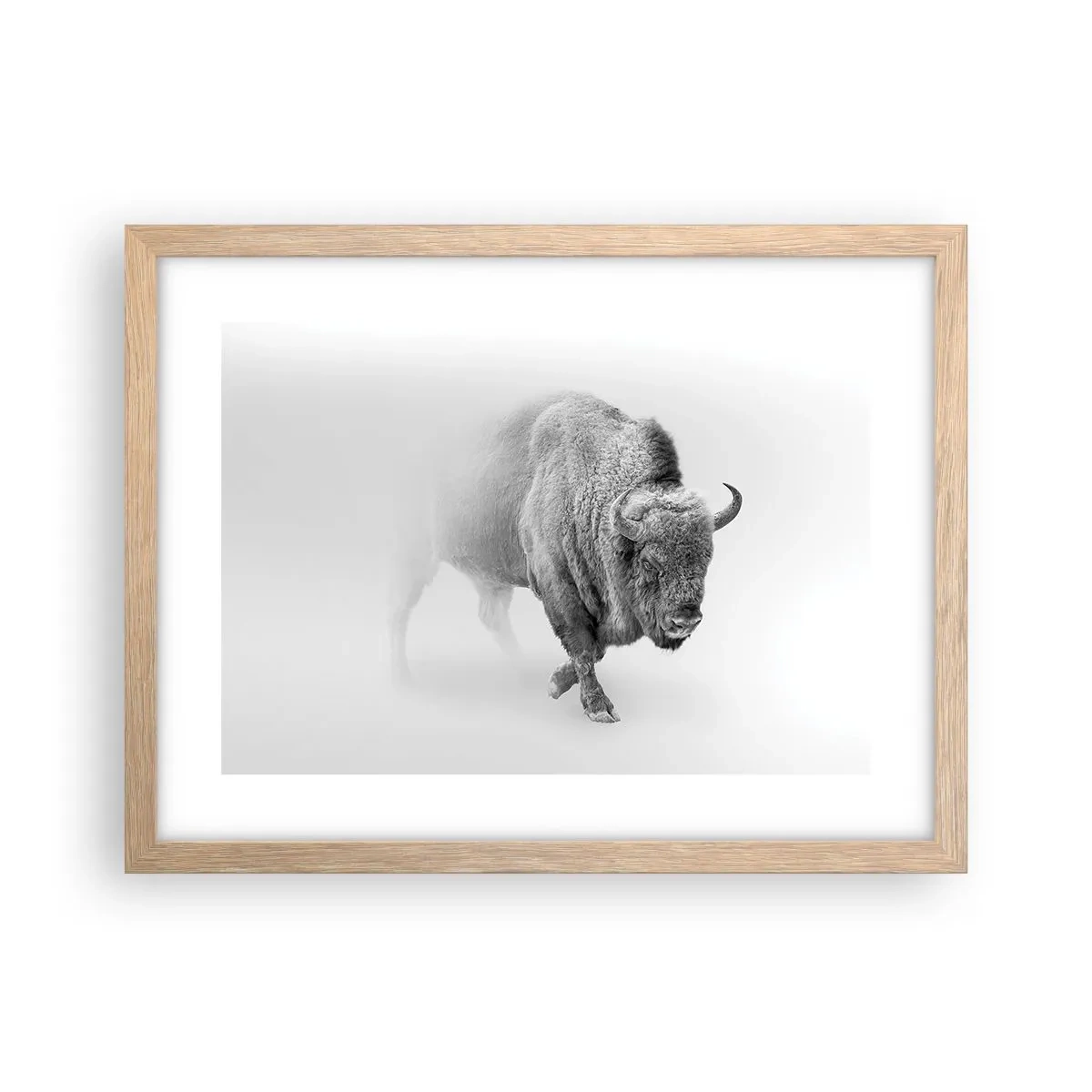Plakát v rámu světlý dub - Král prérie - 40x30 cm