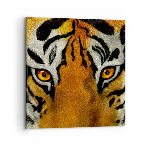 Obraz na plátně - Nebezpečný a krásný - 70x70 cm