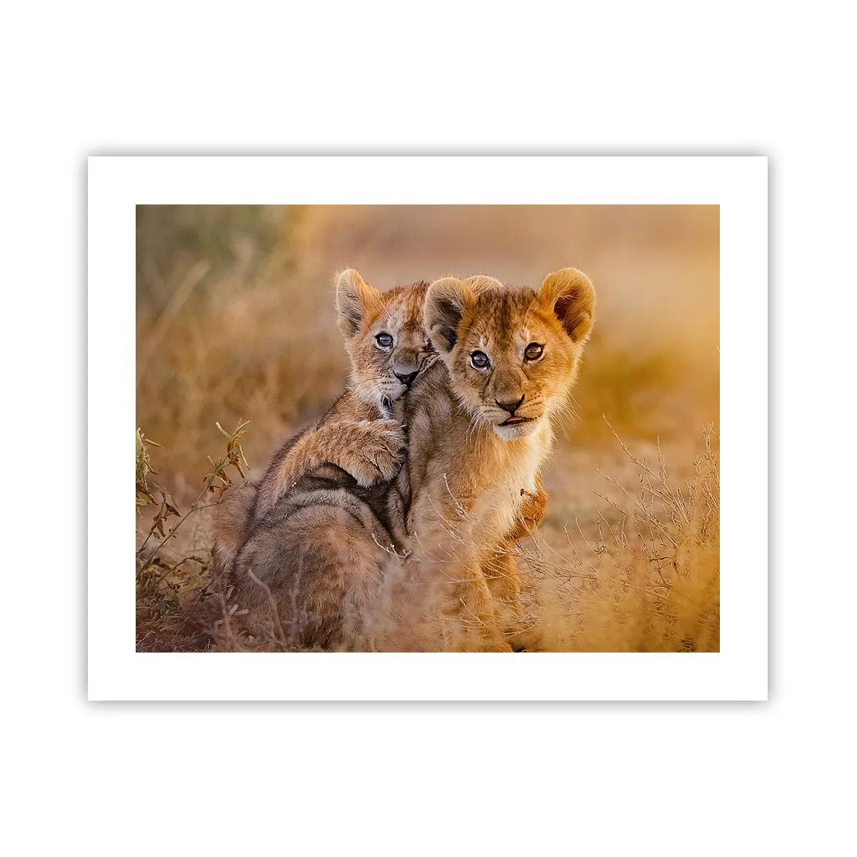 Plakát - Nevyrušovat! Hrajme si - 50x40 cm