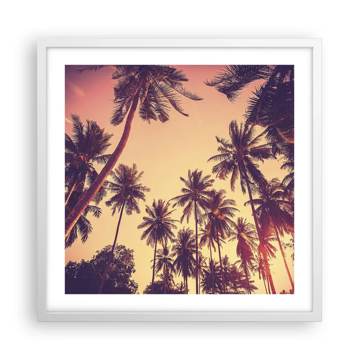 Plakát v bílém rámu - Tropická variace - 50x50 cm